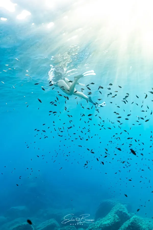 Snorkeling — Fondali del Golfo