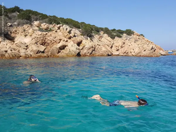 Snorkeling — Fondali del Golfo